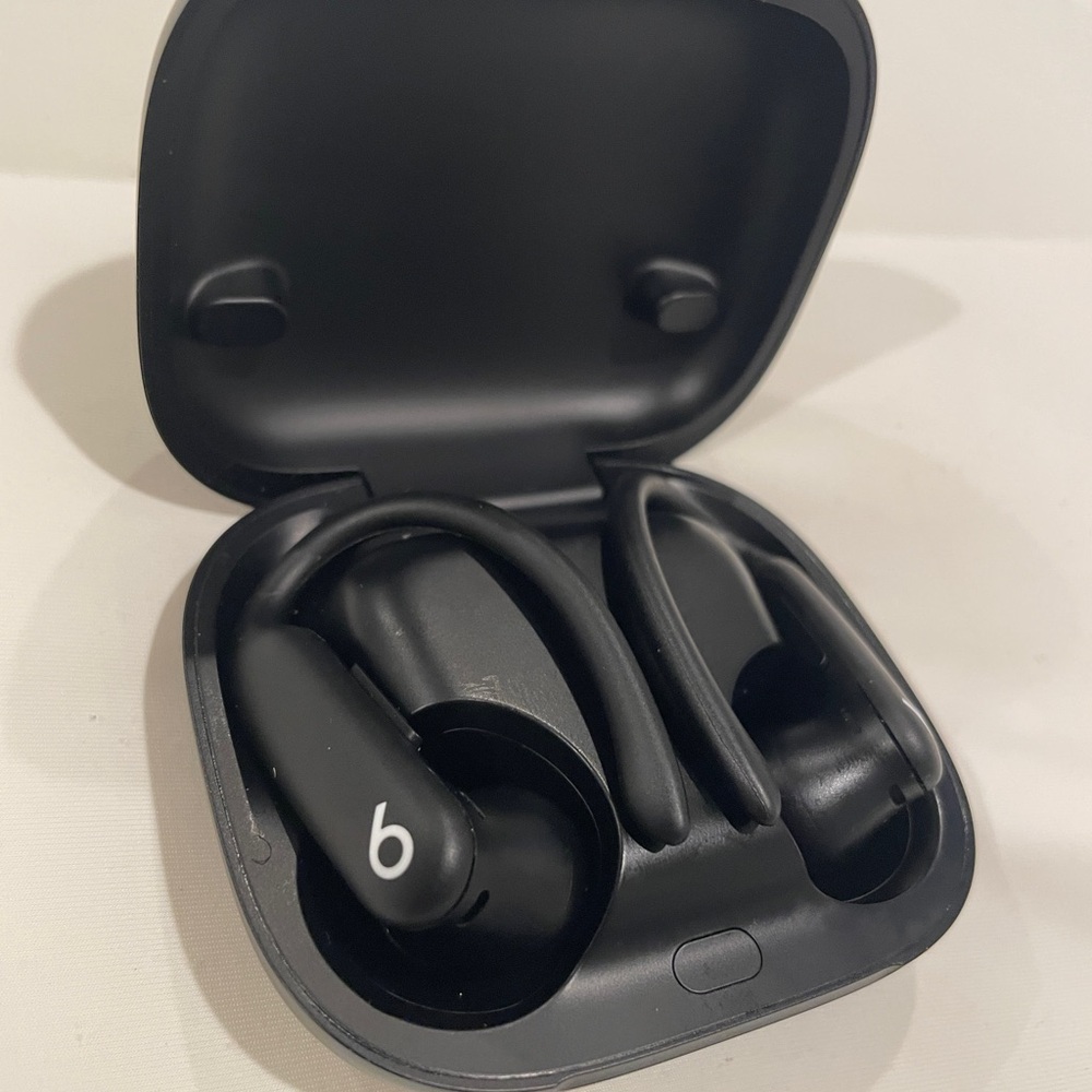 Apple Black Earbud Headphones